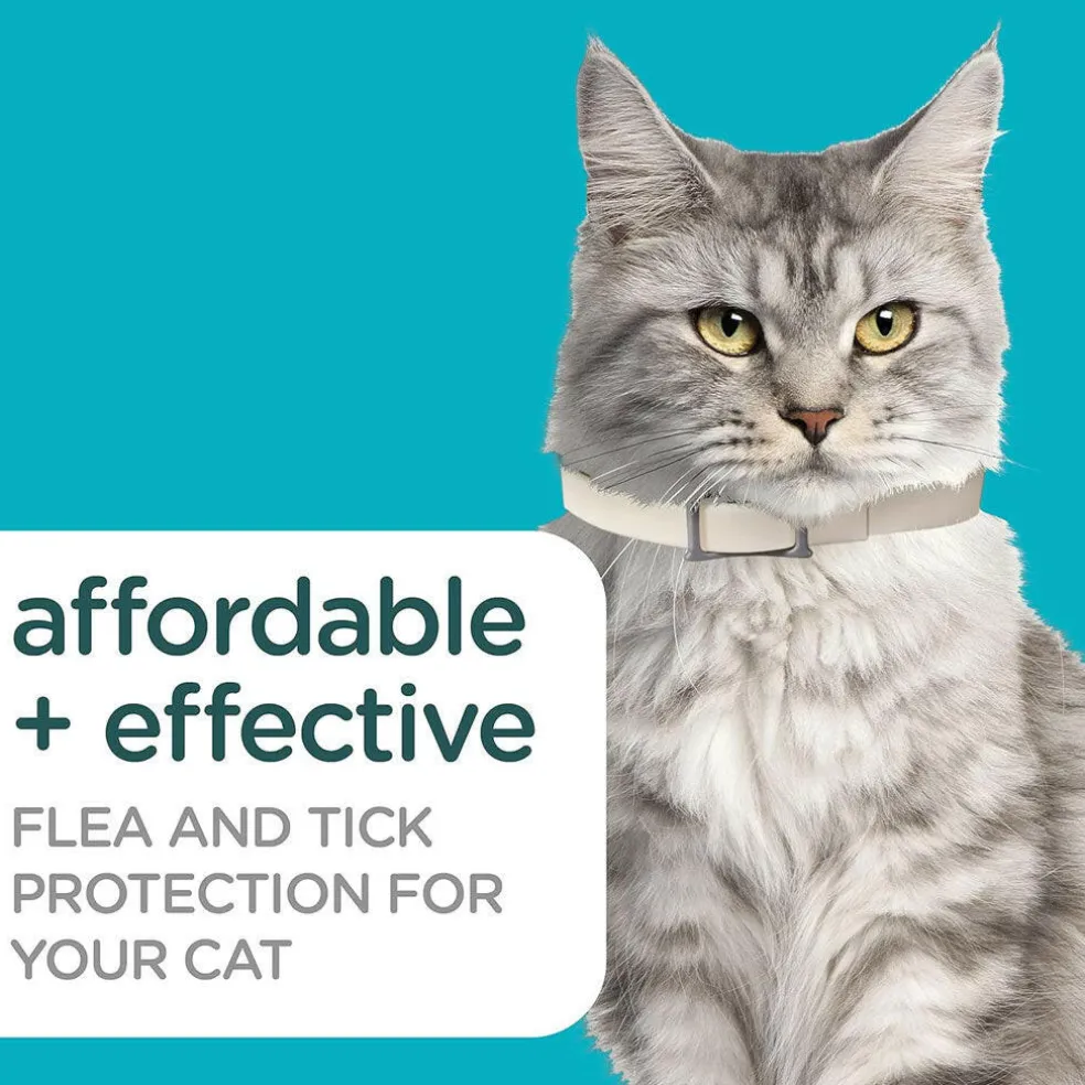 Sergeant's Guardian Pro Flea & Tick Collar for Cats, Fresh Scent, 1 Count