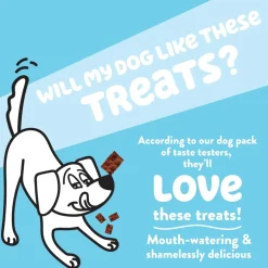 Shameless Pets Berry Had a Little Lamb Jerky Bites Treats For Dogs (4.5 oz)