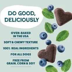 Shameless Pets Blueberried Treasure Soft Baked Treats For Dogs (6 oz)