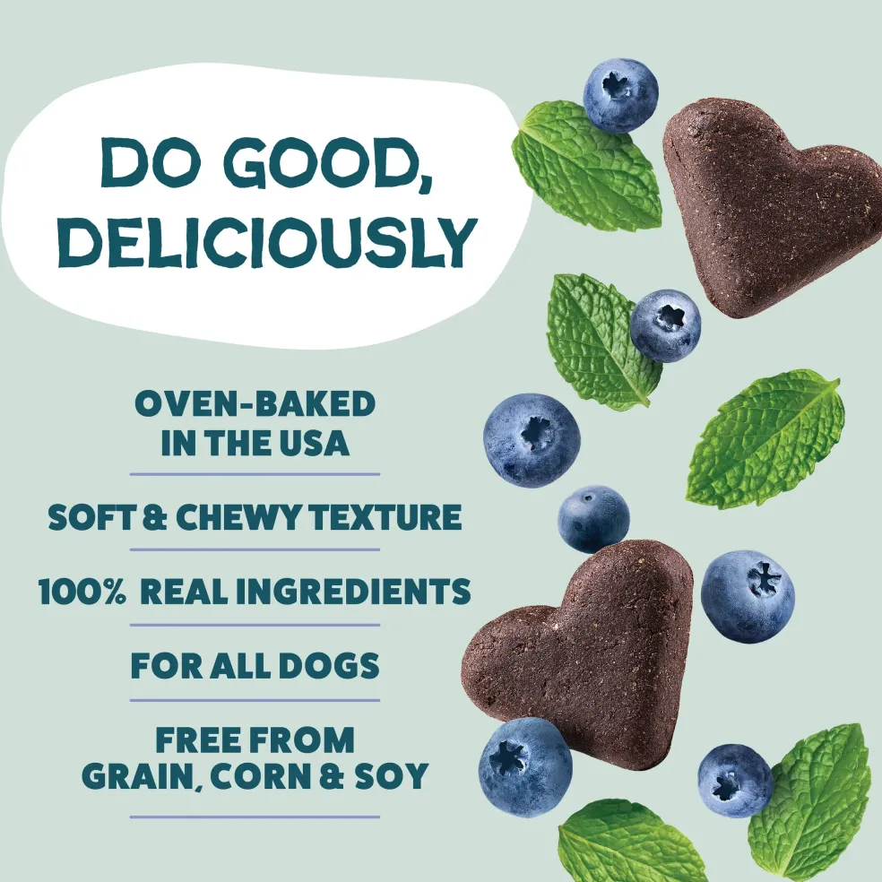 Shameless Pets Blueberried Treasure Soft Baked Treats For Dogs (6 oz)