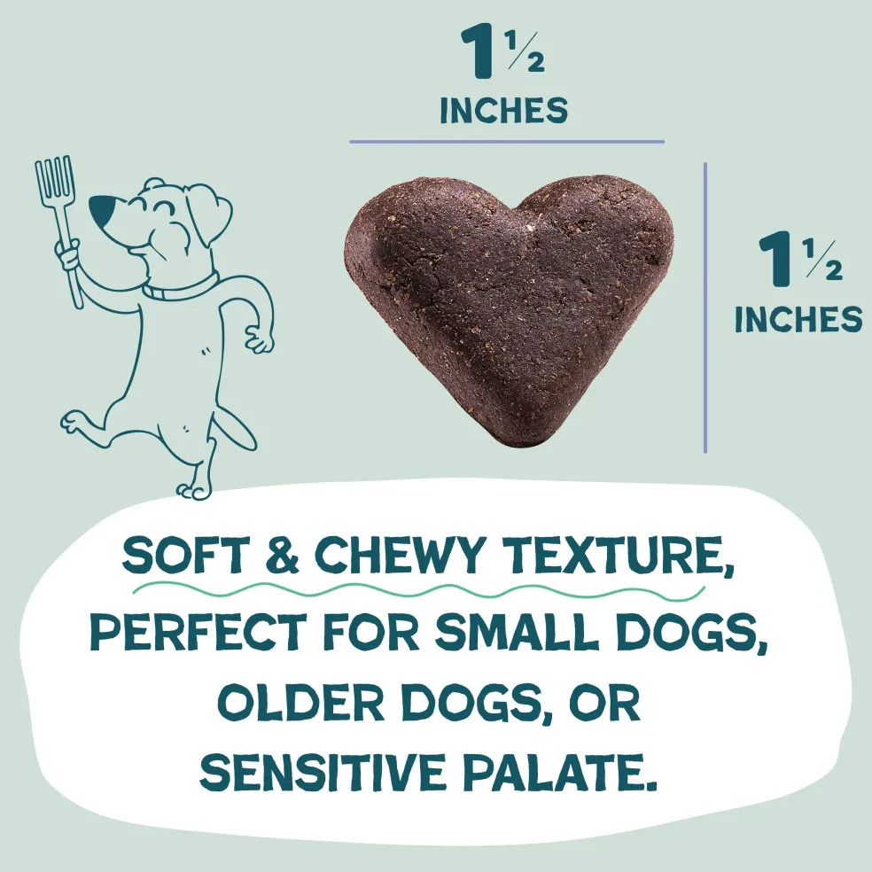 Shameless Pets Blueberried Treasure Soft Baked Treats For Dogs (6 oz)