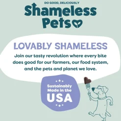 Shameless Pets Blueberried Treasure Soft Baked Treats For Dogs (6 oz)