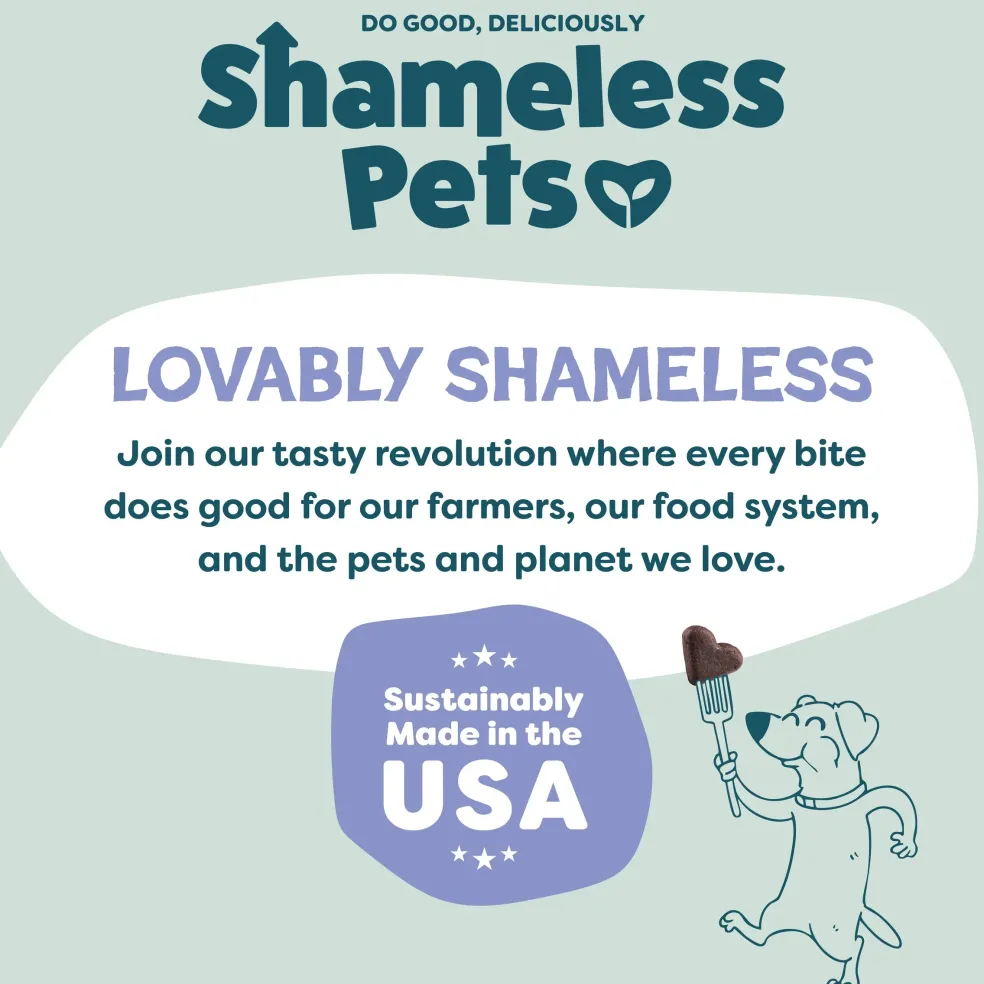 Shameless Pets Blueberried Treasure Soft Baked Treats For Dogs (6 oz)