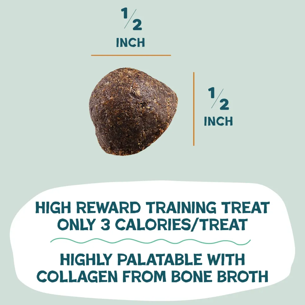 Shameless Pets Bone Broth Bits Peanut Butter Bliss Training Treats For Dogs (8 oz)