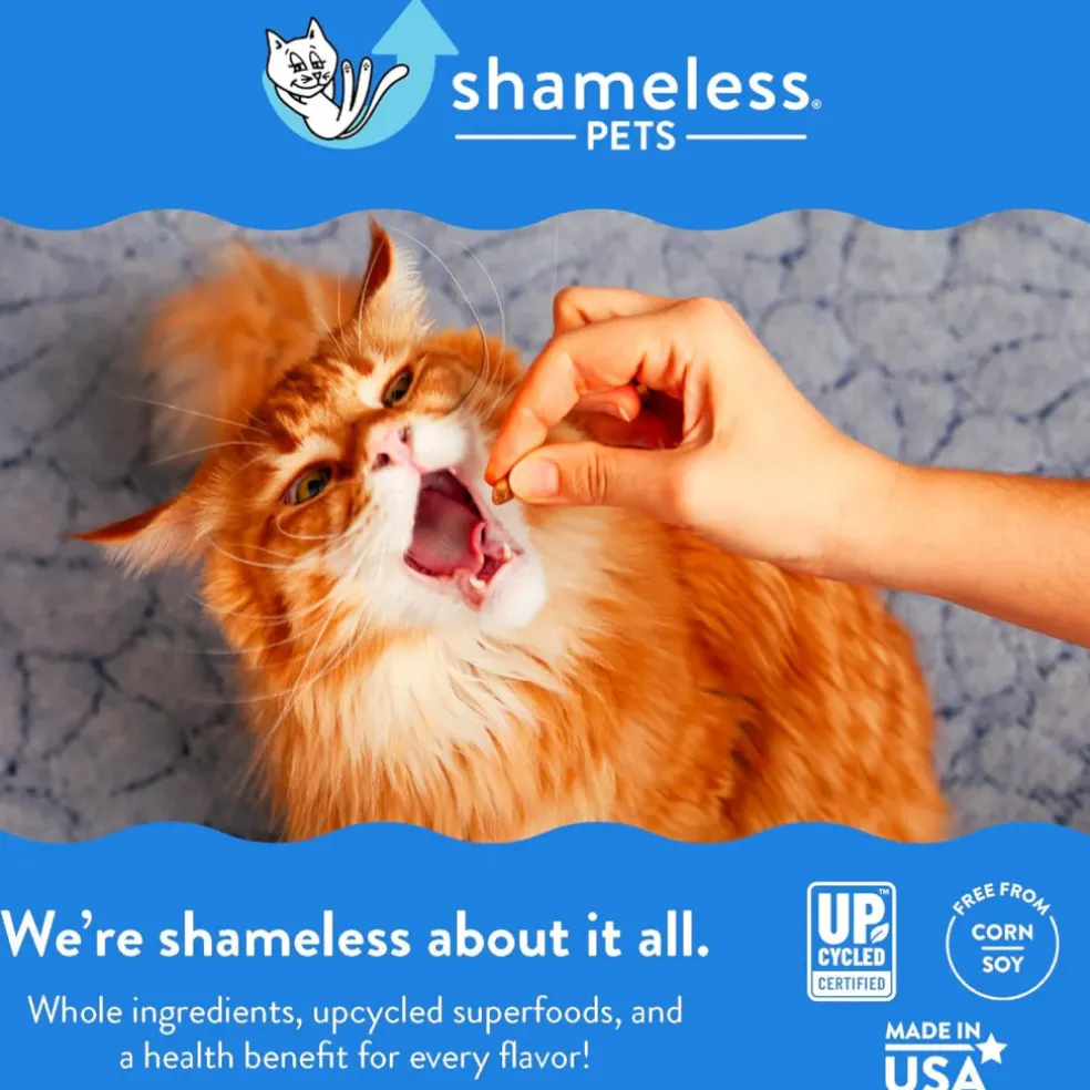 Shameless Pets Catnip N Chill Crunchy Treats for Cats (2.5 oz)