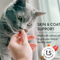 Shameless Pets Crunchy Treats Catnip N Chill, Tuna & Catnip Recipe For Cats (2.5 oz)
