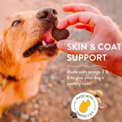 Shameless Pets Peanut Butter Apeel Soft Baked Treats For Dogs (6 oz)