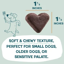Shameless Pets Pumpkin Nut Partay Soft Baked Treats For Dogs (6 oz)