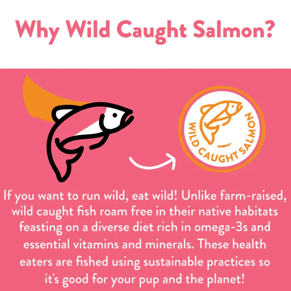 Shameless Pets Salmon Loves Butternut Jerky Bites Dog Treats (5 oz)