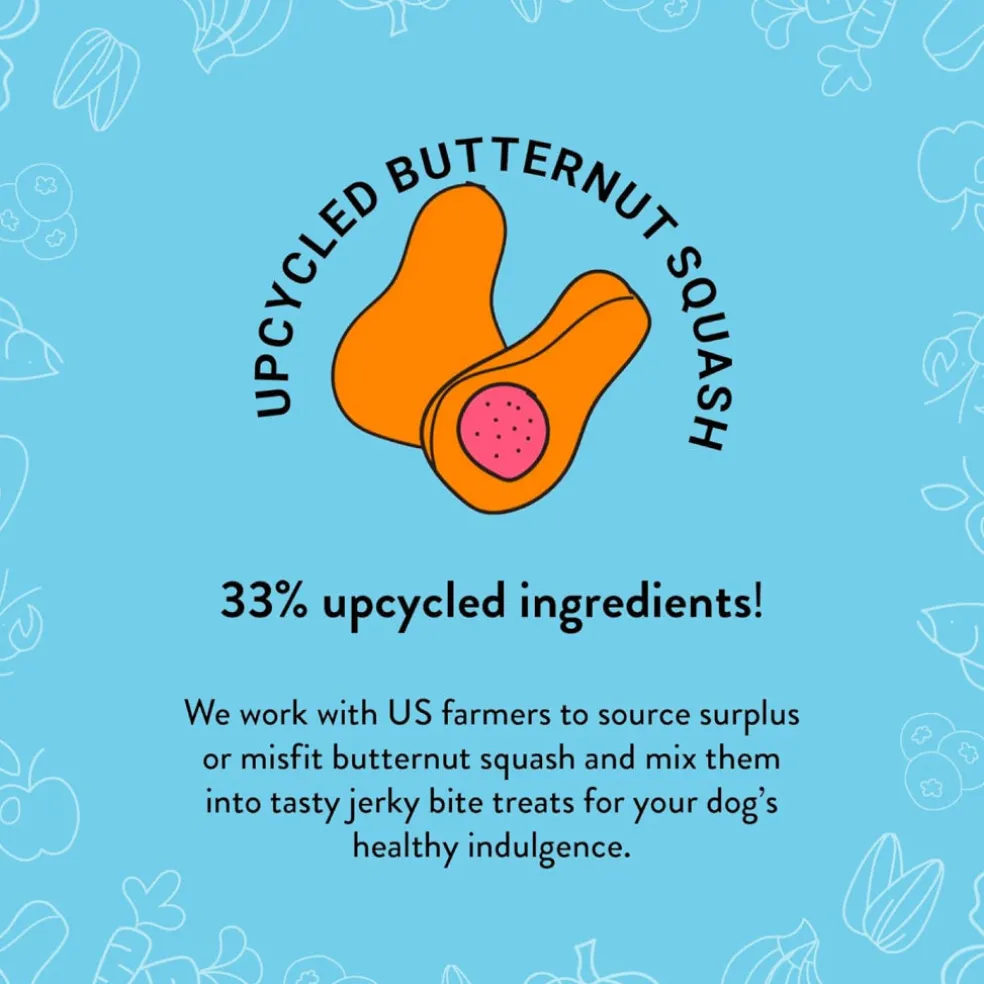 Shameless Pets Salmon Loves Butternut Jerky Bites Dog Treats (5 oz)