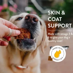 Shameless Pets Salmon Loves Butternut Jerky Bites Dog Treats (5 oz)