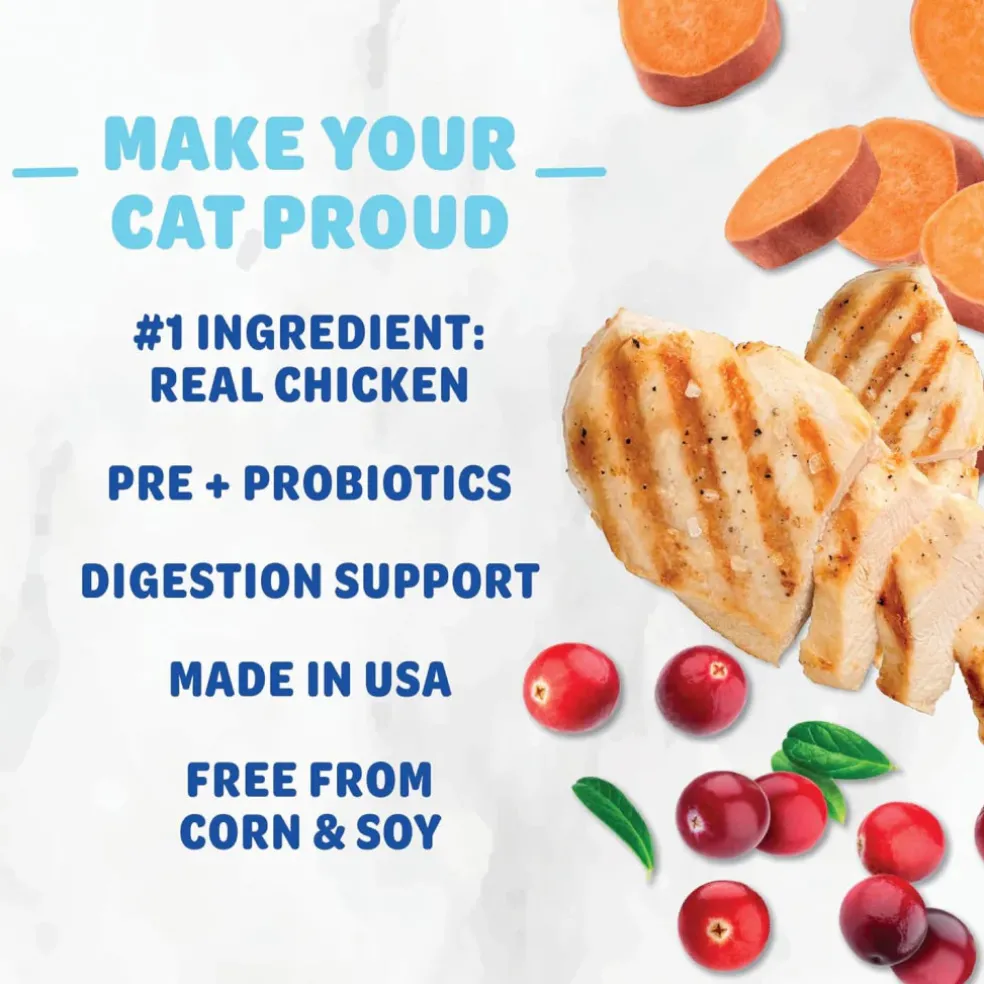 Shameless Pets Superstar Crunchers Cran You Say Chicken For Cats (2.5 oz)