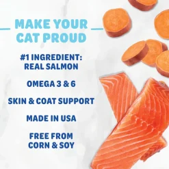 Shameless Pets Yam Good Salmon Crunchy Treats For Cats (2.5 oz)