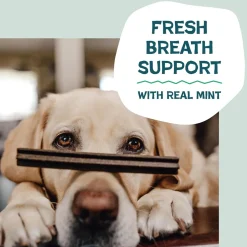 Shamless Pets The Tooth Berry Dental Sticks Treats For Dogs (7.2 oz)