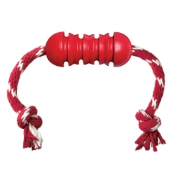 Shop KONG Dental w/Rope Teeth Cleaning Dog Chew Toy
