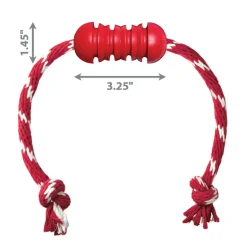 Shop KONG Dental w/Rope Teeth Cleaning Dog Chew Toy