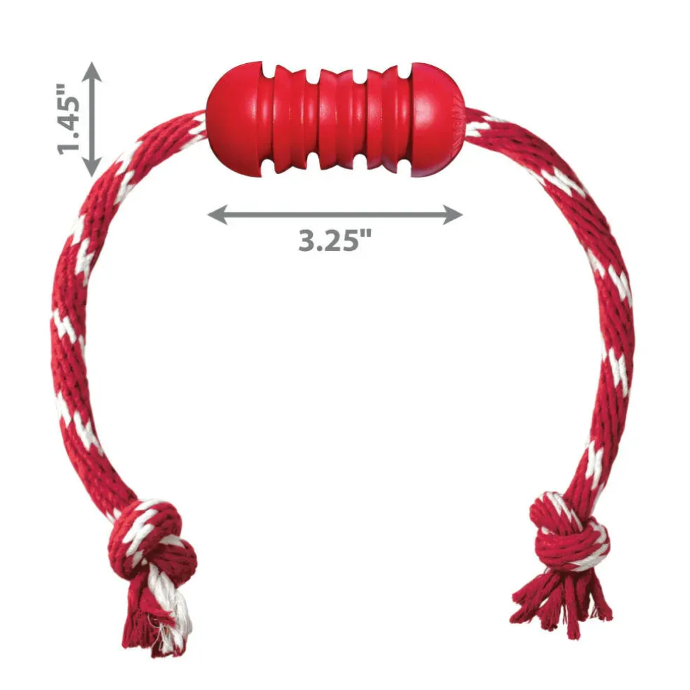 Shop KONG Dental w/Rope Teeth Cleaning Dog Chew Toy