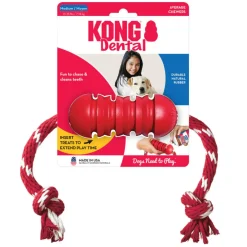 Shop KONG Dental w/Rope Teeth Cleaning Dog Chew Toy