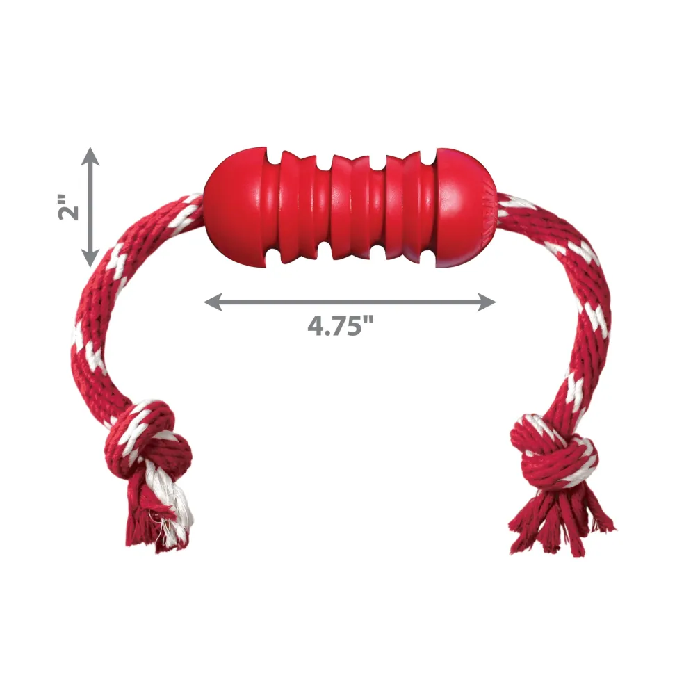 Shop KONG Dental w/Rope Teeth Cleaning Dog Chew Toy
