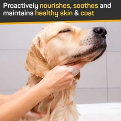 Silver Honey Skin & Coat Care Shampoo with Odor Neutralizer for Dogs & Cats (16 oz)