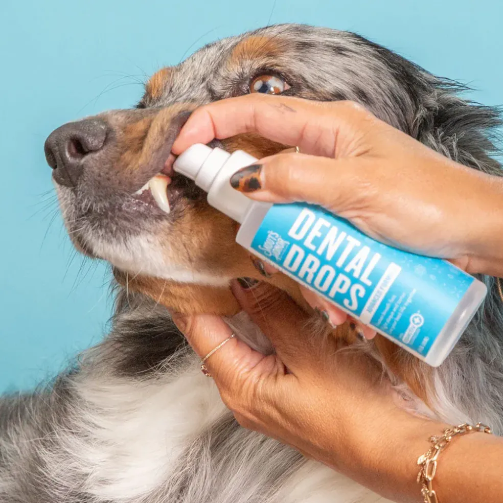 Skout's Honor Advanced Dog & Cat Dental Drops, 4-oz