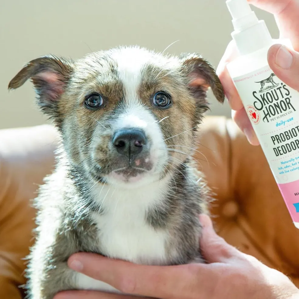 Skout's Honor Happy Puppy Probiotic Daily Use Dog Deodorizing Spray, 8-oz