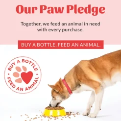 Skout's Honor HydroClear Moist Grooming Wipes (100ct)