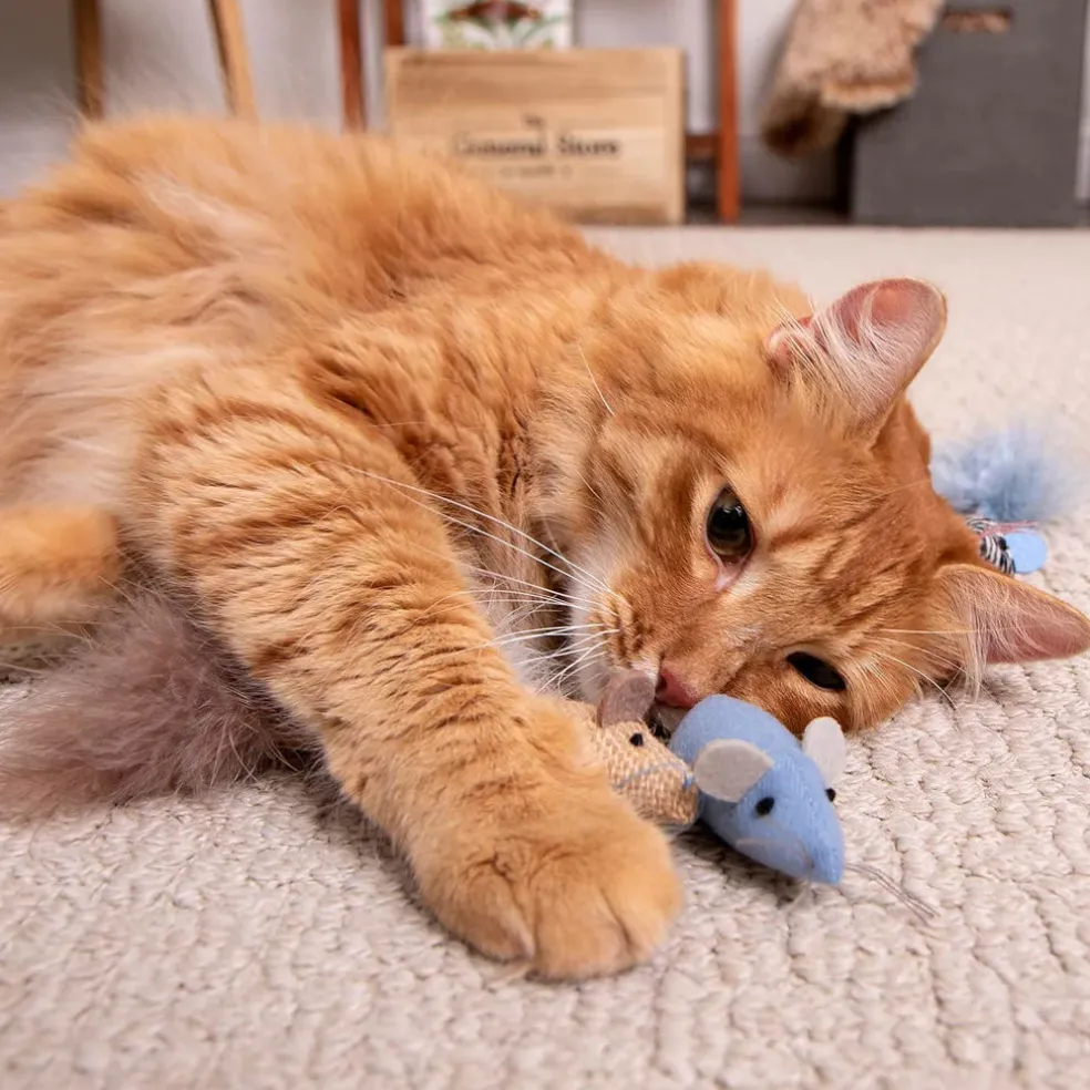 SmartyKat Instincts Catnip Caravan Plush Mice with Feather Tails Cat Toys, 3-count