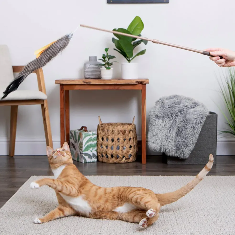 SmartyKat Instincts Fly 'N Frenzy Extendable Wand Cat Toy