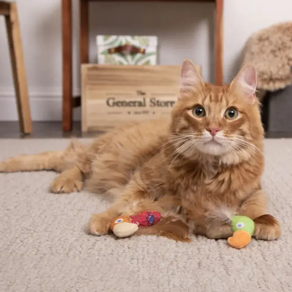 SmartyKat Instincts Love Mates Feathery HappyNip Cat Toys