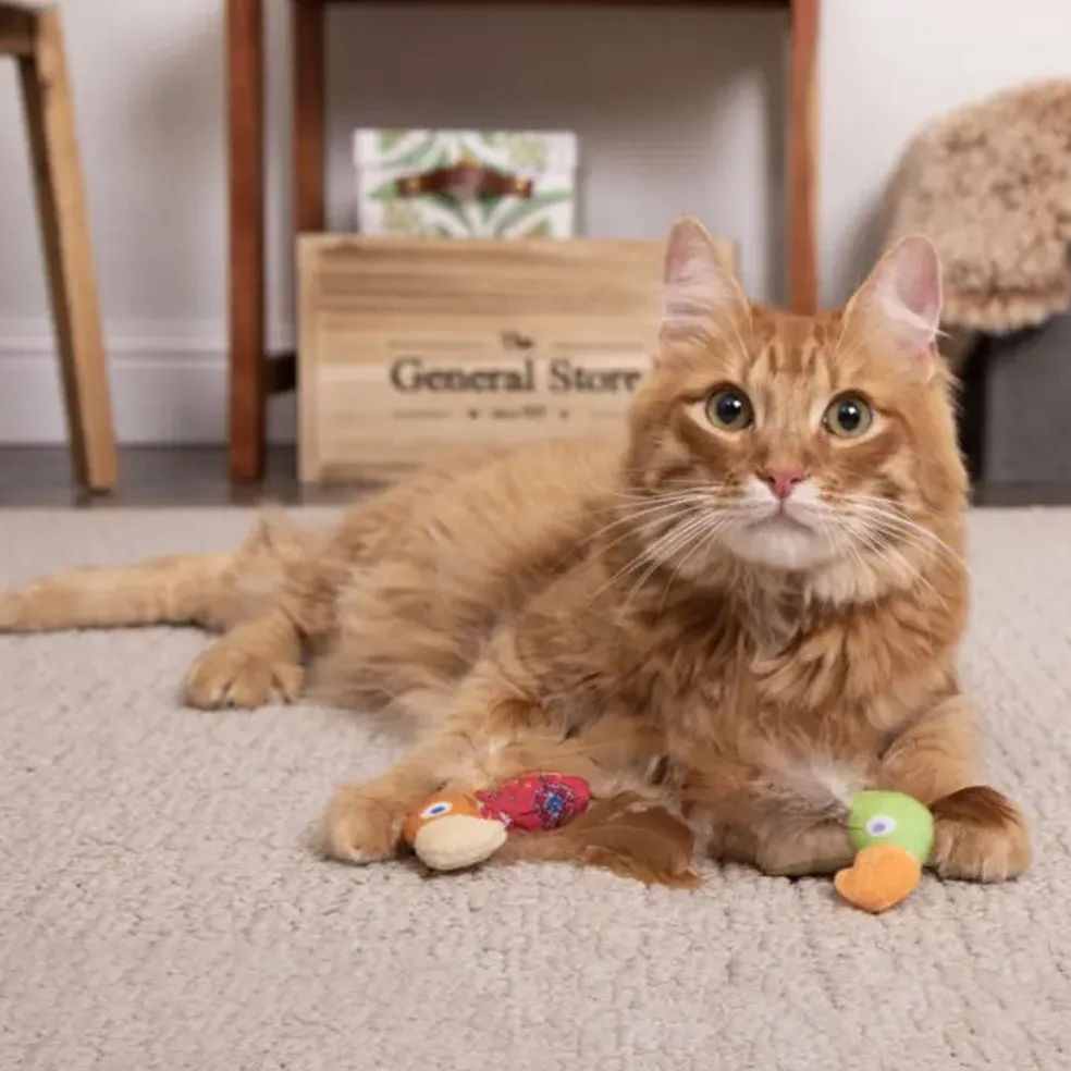 SmartyKat Instincts Love Mates Feathery HappyNip Cat Toys