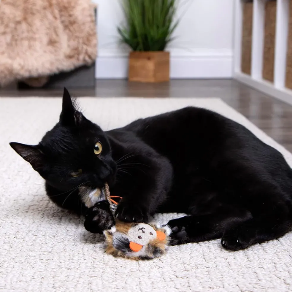 SmartyKat Instincts Prideful Player Launcher Cat Toy