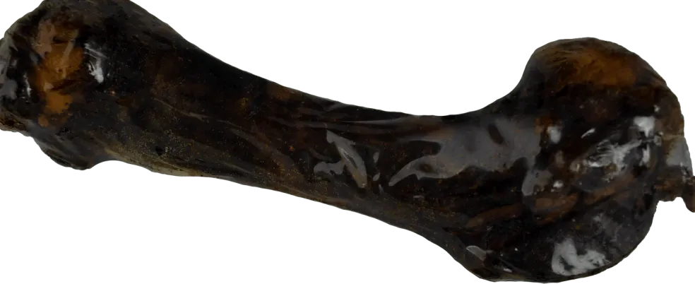 Smoked Pork Femur 7-9”