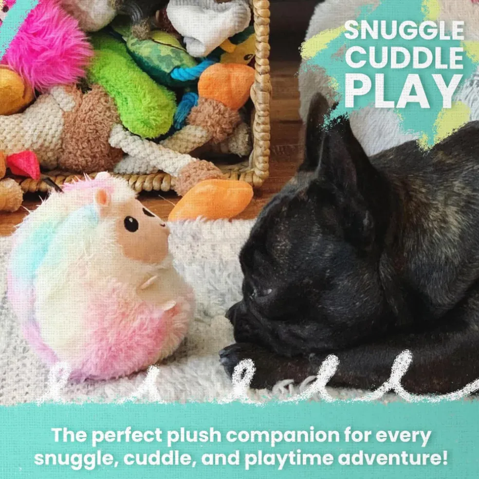 Snugarooz Hide & Seek Reef 4 Toys in 1 Dog Interactive Toy