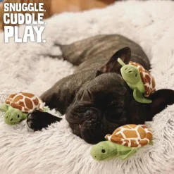 Snugarooz Hide & Seek Reef 4 Toys in 1 Dog Interactive Toy