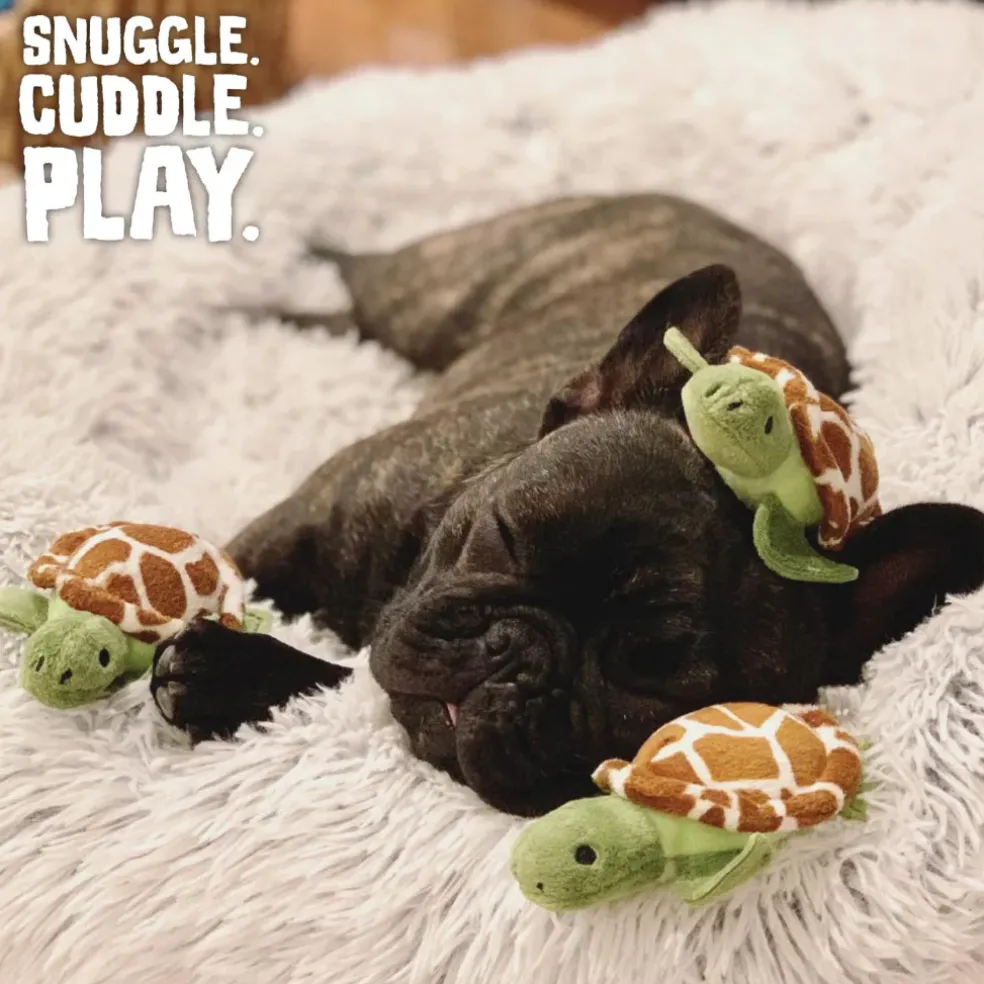 Snugarooz Hide & Seek Reef 4 Toys in 1 Dog Interactive Toy