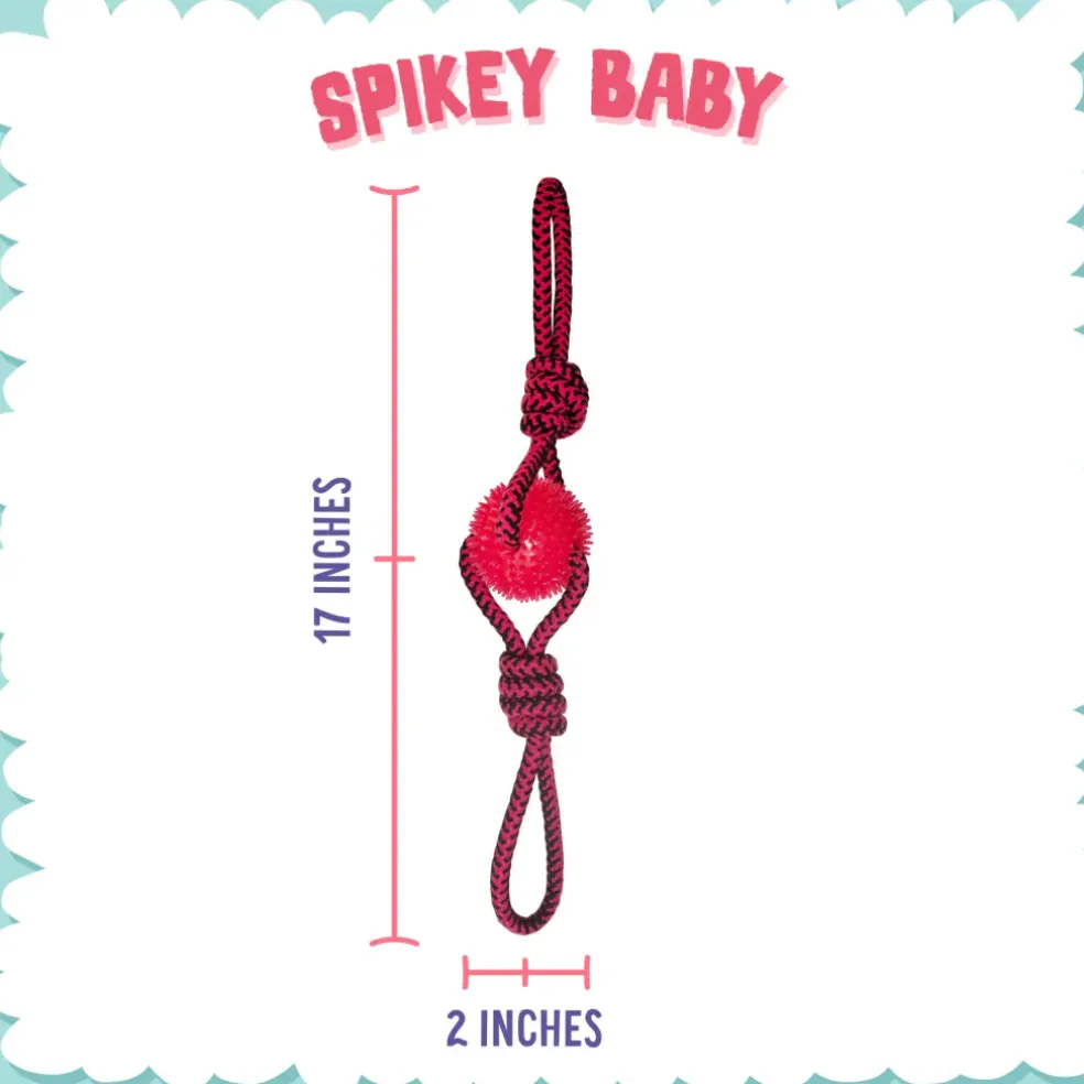 Snugarooz Spikey Baby Dog Tug & Fetch Toy (19")