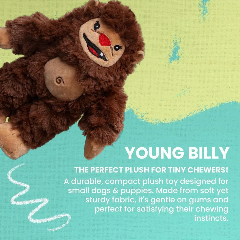 Snugarooz Young Billy Big Foot Dog Toy