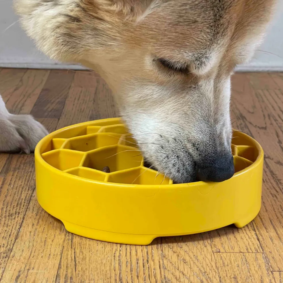SodaPup Honeycomb Enrichment Slow Feeder eBowl for Dogs (8")