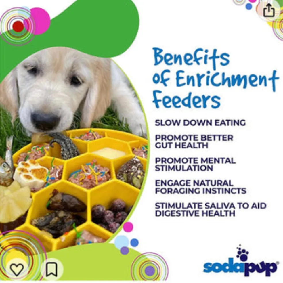 SodaPup Honeycomb Enrichment Slow Feeder eBowl for Dogs (8")