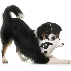 Spot BAA BAA Black Sheep Plush Dog Toy