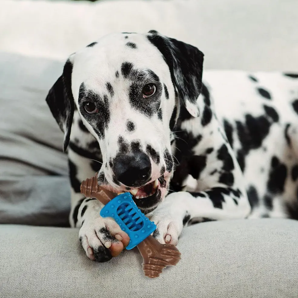 Spot Bam-Bones Dental Chew Toy For Dogs Bacon Flavor, 6.5"