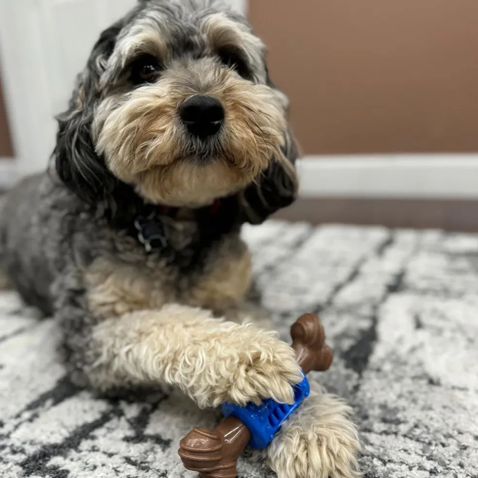 Spot Bam-Bones Dental Chew Toy For Dogs Bacon Flavor, 6.5"