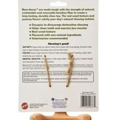 Spot Bam-Bones Fish Salmon Flavor Dog Chew Toy