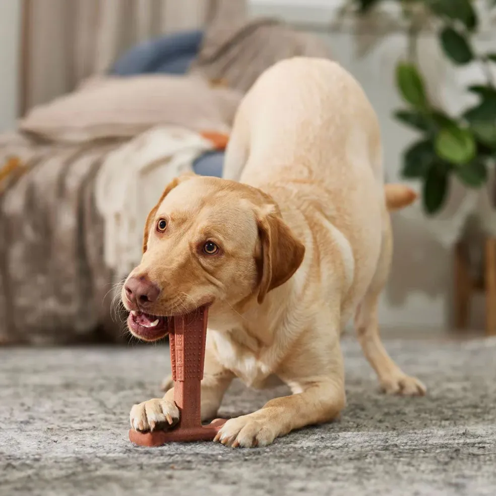 Spot Bam-Bones Plus Beef Flavor Dog Chew Toy