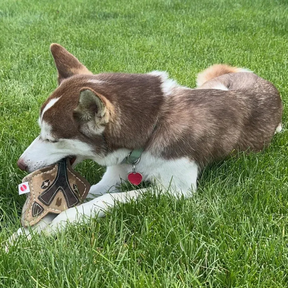 Spot Dura-Fused Chunkies Leather Fox Chew Toy For Dogs