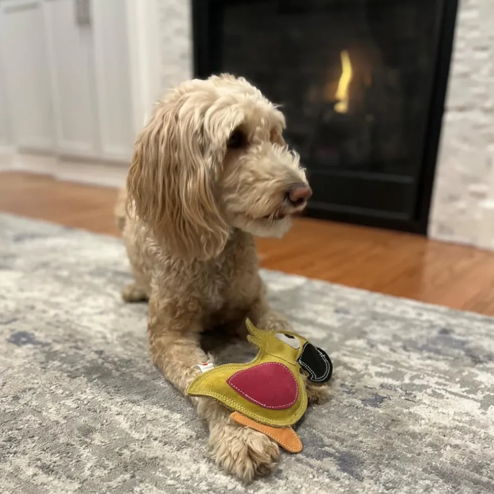 Spot Dura-Fused Colors Leather Parrot Dog Toy - Assorted colors