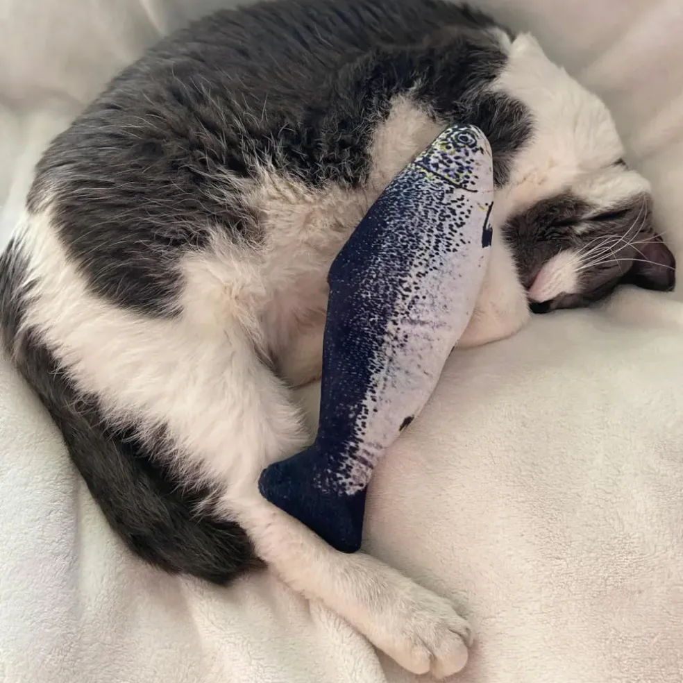 Spot Flippin' Fish Cat Toy