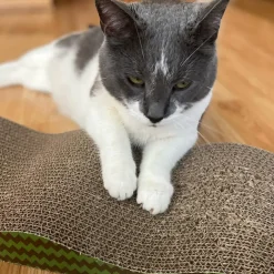 Spot Wave Scratcher For Cats 17