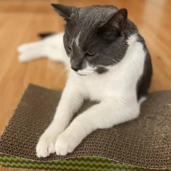 Spot Wave Scratcher For Cats 17